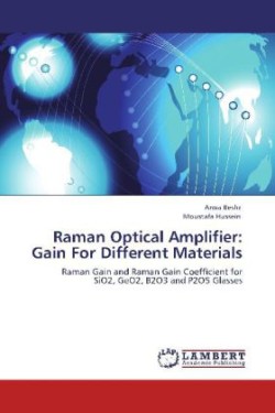Raman Optical Amplifier