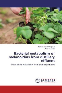 Bacterial metabolism of melanoidins from distillery effluent