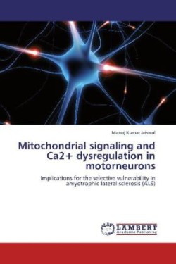 Mitochondrial signaling and Ca2+ dysregulation in motorneurons
