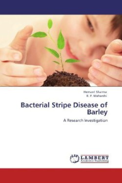 Bacterial Stripe Disease of Barley