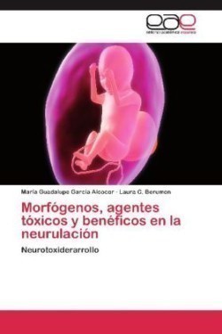 Morfogenos, Agentes Toxicos y Beneficos En La Neurulacion