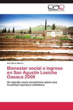 Bienestar Social E Ingreso En San Agustin Loxicha Oaxaca 2009