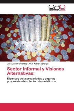 Sector Informal y Visiones Alternativas