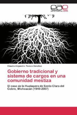 Gobierno tradicional y sistema de cargos en una comunidad mestiza