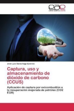 Captura, uso y almacenamiento de dióxido de carbono (CCUS)