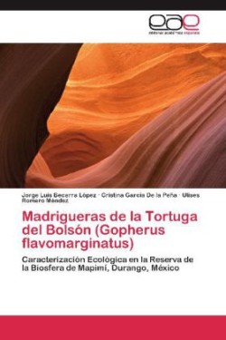 Madrigueras de La Tortuga del Bolson (Gopherus Flavomarginatus)