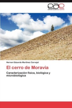 Cerro de Moravia