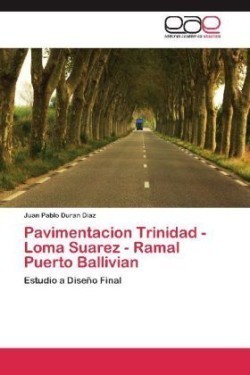 Pavimentacion Trinidad - Loma Suarez - Ramal Puerto Ballivian