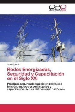 Redes Energizadas, Seguridad y Capacitacion En El Siglo XXI
