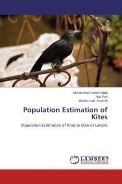 Population Estimation of Kites