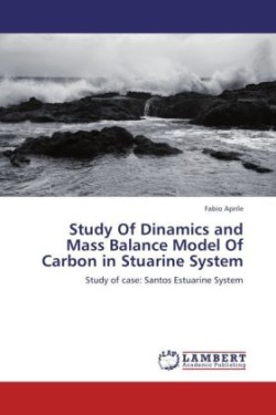 Study Of Dinamics and Mass Balance Model Of Carbon in Stuarine System