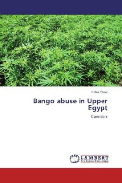 Bango abuse in Upper Egypt