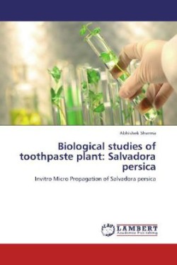 Biological studies of toothpaste plant