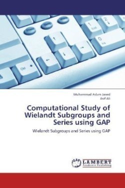 Computational Study of Wielandt Subgroups and Series Using Gap