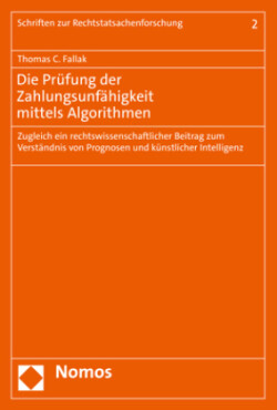 Die Prüfung der Zahlungsunfähigkeit mittels Algorithmen