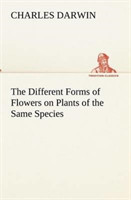 Different Forms of Flowers on Plants of the Same Species