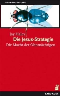 Die Jesus-Strategie