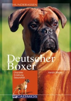 Deutscher Boxer