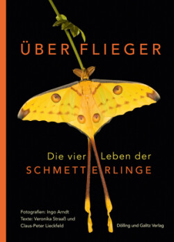 Überflieger. Die vier Leben der Schmetterlinge