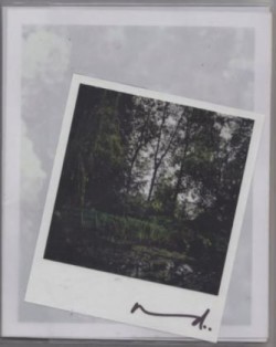 Darren Almond: The Giverny Polaroids