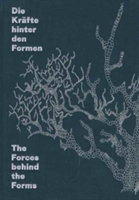 Forces Behind the Forms