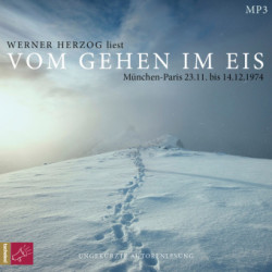 Vom Gehen im Eis, 1 Audio-CD, 1 MP3