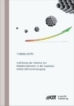 Aufklärung der Struktur von Metallclusterionen in der Gasphase mittels Elektronenbeugung