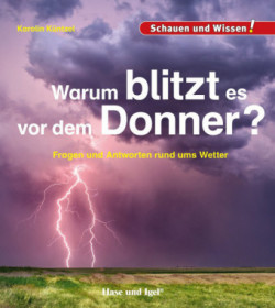 Warum blitzt es vor dem Donner?