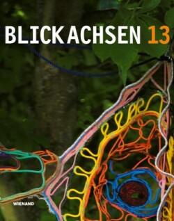 Blickachsen 13