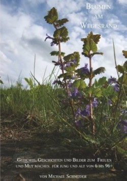 Blumen am Wegesrand