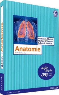 Anatomie