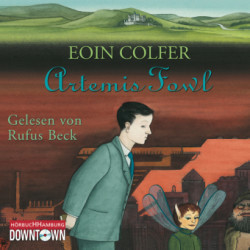 Artemis Fowl,3 Audio-CD