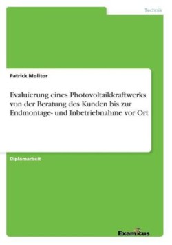 Evaluierung eines Photovoltaikkraftwerks von der Beratung des Kunden bis zur Endmontage- und Inbetriebnahme vor Ort