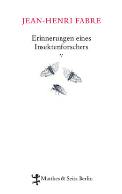 Erinnerungen eines Insektenforschers. Bd.5