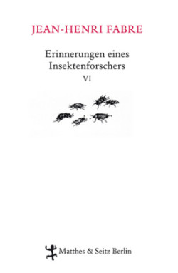 Erinnerungen eines Insektenforschers. Bd.6