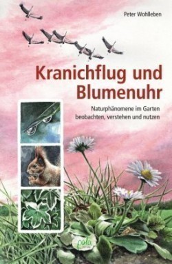 Kranichflug und Blumenuhr