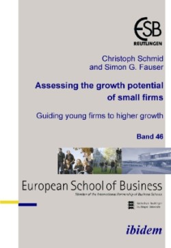 Assessing the growth potential of small firms