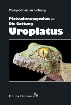 Plattschwanzgeckos