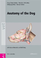 Anatomy of the Dog An Illustrated Text, Fifth Edition