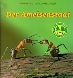 Der Ameisenstaat