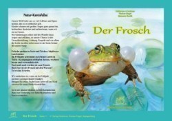 Natur-Kamishibai / Der Frosch, Der Frosch, Natur-Kamishibai