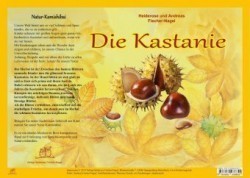 Die Kastanie, Natur-Kamishibai