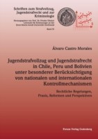 Jugendstrafvollzug und Jugendstrafrecht in Chile, Peru und Bolivien unter besonderer Berücksichtigung von nationalen und internationalen Kontrollmechanismen