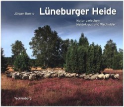 Lüneburger Heide