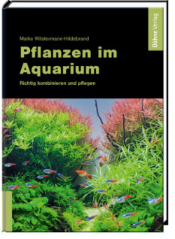 Pflanzen im Aquarium