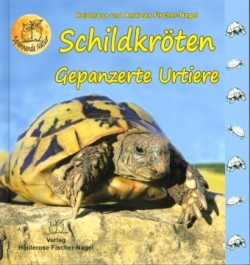 Schildkröten