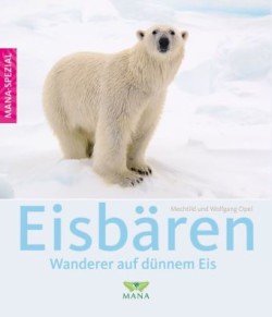 Eisbären