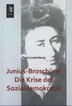 Junius-Broschure