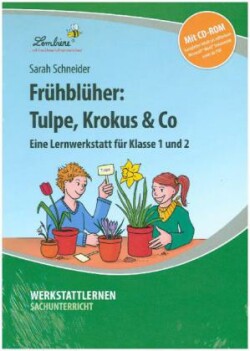 Frühblüher: Tulpe, Krokus & Co