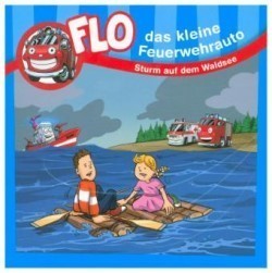 Sturm auf dem Waldsee - Minibuch